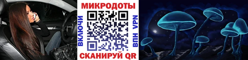 Псилоцибиновые грибы Psilocybe  как найти   Тырныауз 